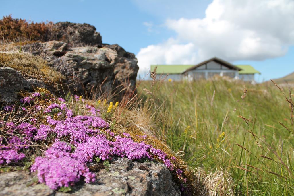 Hoemluholt Holiday Homes Bagian luar foto